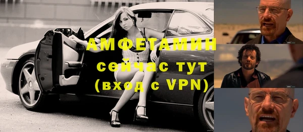 ГАЛЛЮЦИНОГЕННЫЕ ГРИБЫ Заволжье