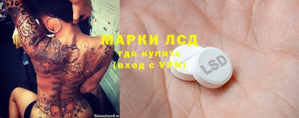 ГАЛЛЮЦИНОГЕННЫЕ ГРИБЫ Заволжье