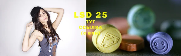 ГАЛЛЮЦИНОГЕННЫЕ ГРИБЫ Заволжье