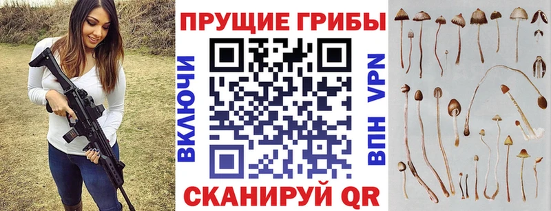 Галлюциногенные грибы ЛСД  Купить где  Ишим 
